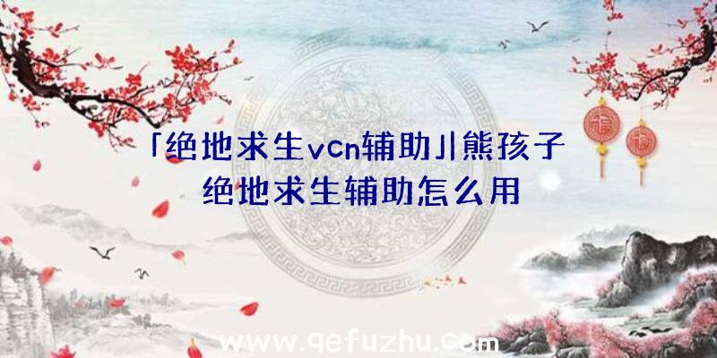 「绝地求生vcn辅助」|熊孩子绝地求生辅助怎么用